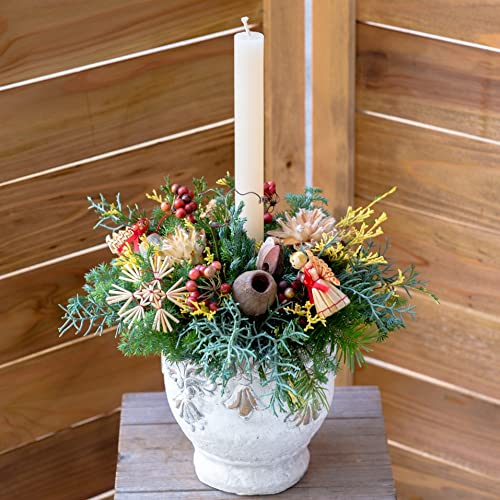 Amazon｜[秦野市の花屋 フローリストせきど] アンティーク器の